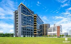 REVV (D22), Factory #460318891